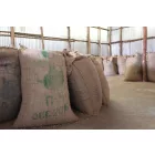 Ethiopia Guji Shakiso- Szemes kávé, világos pörkölés - 1000g