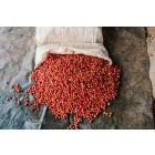 Kenya Gachatha - Szemes kávé, világos pörkölés - 1000g