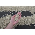 Nicaragua Los Papales - Szemes kávé, világos pörkölés - 1000g