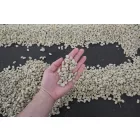 Nicaragua Los Papales - Szemes kávé, világos pörkölés - 250g