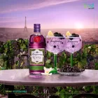 Tanqueray Gin Blackcurrant Royale 0,7l