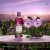 Tanqueray Gin Blackcurrant Royale 0,7l