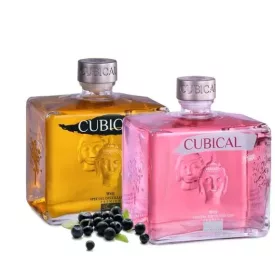 Botanic Gin Cubical Premium Special Distilled Kiss 0,7l