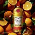 Tanqueray Gin Flor de Sevilla 1l