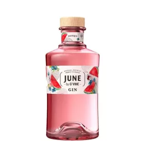 June by GVine Gin Watermelon 0,7l