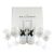 Moet & Chandon Champagne Ice Imperial Set 2*0,75l DD.